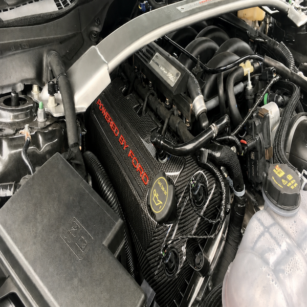 Custom Hydro Dipped Carbon Fiber 2011+ Mustang Powered By Ford Race Red Coil Covers