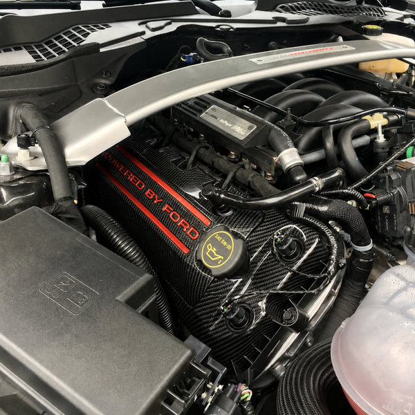 Custom Hydro Dipped Carbon Fiber 2011+ Mustang Powered By Ford Race Red Coil Covers
